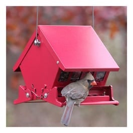 Audubon, Absolute II Squirrel-Proof Hopper Bird Feeder, Mini, Holds 4-Lbs.