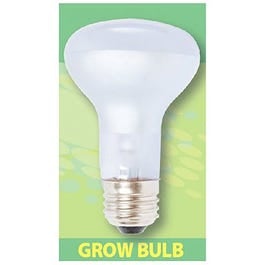 HYDROFARM, Agrosun Dayspot Grow Light Bulb, 60-Watt