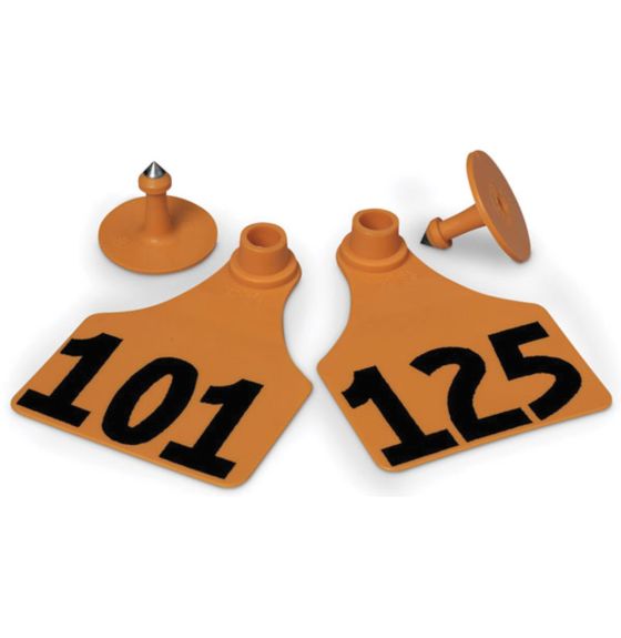 Allflex, Allflex Global Ear Tag, 3" X 2.25", Large, Orange, 101-125