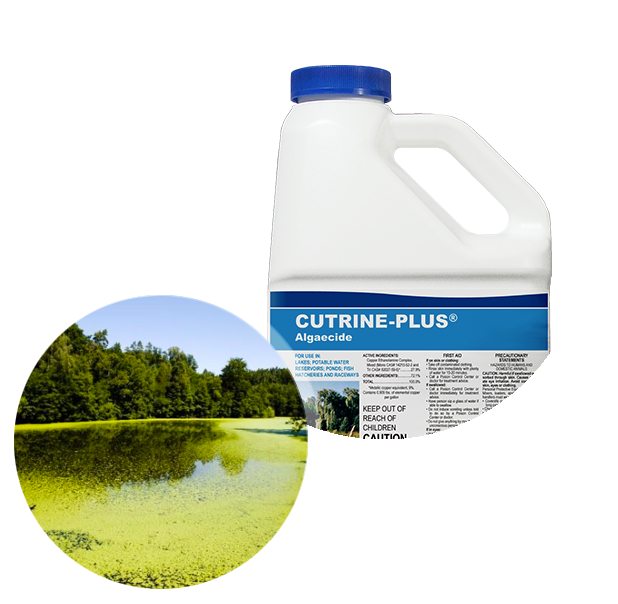 Applied Biochemists, Applied Biochemists Cutrine® Plus Algaecide and Herbicide