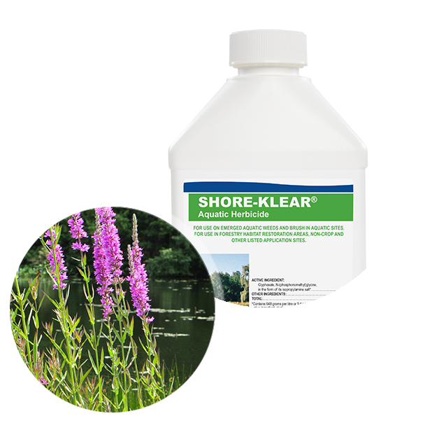 Applied Biochemists, Applied Biochemists Shore-Klear® Aquatic Herbicide 32 oz.