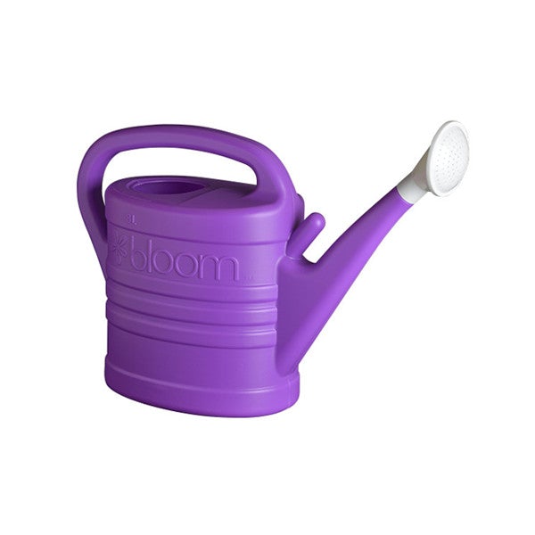 Bloom, BLOOM 2 GALLON WATERING CAN