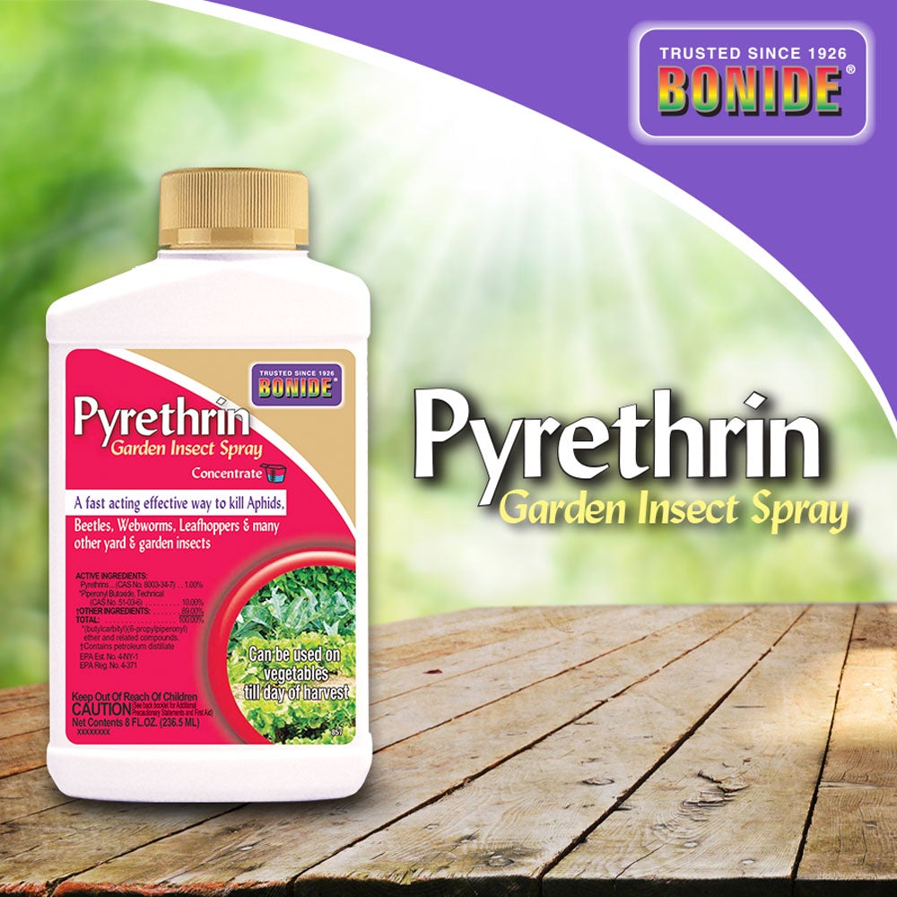 Bonide, BONIDE Pyrethrin Garden Spray Conc