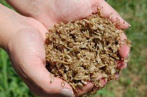 Midwest Agri, Beet Pulp Shreds without Molasses
