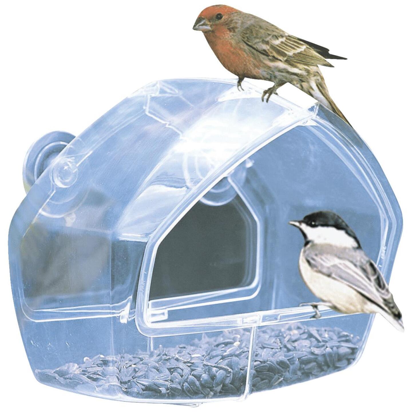 Perky-Pet, Birdscapes Clear Plastic Window Bird Feeder