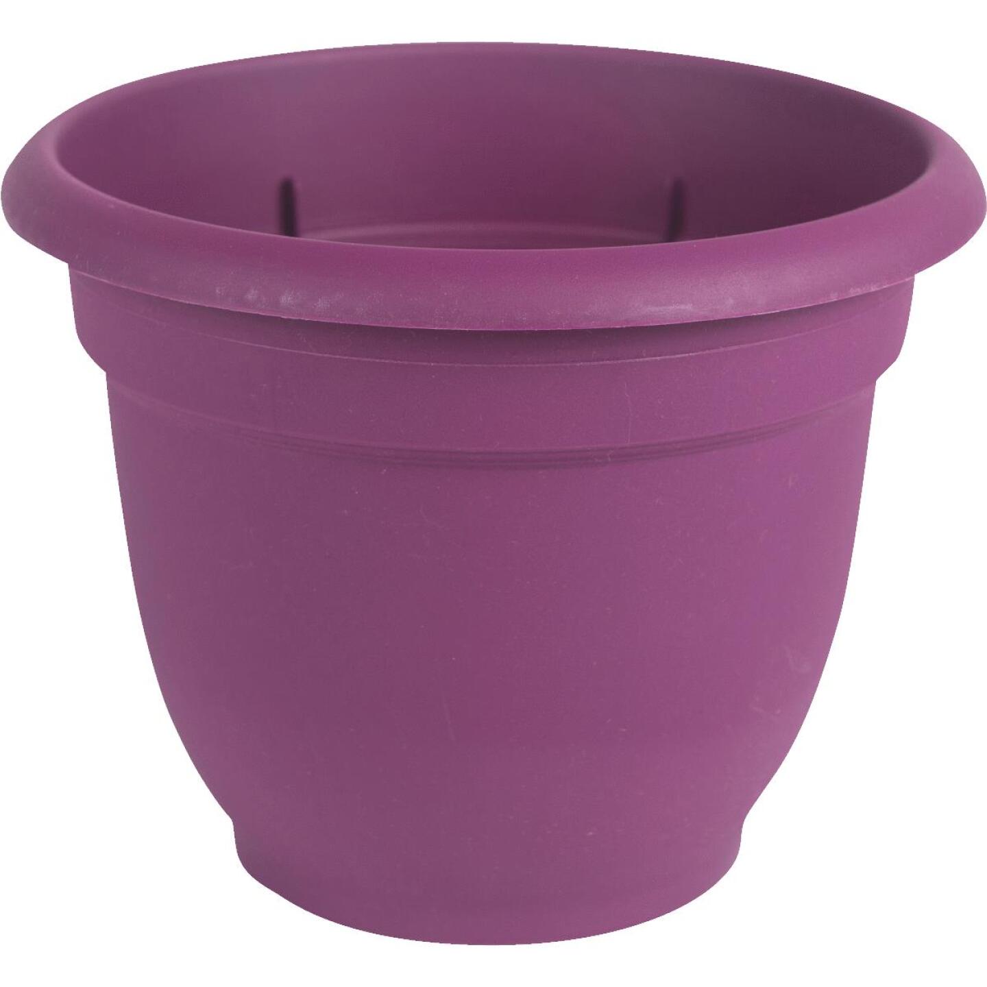 Bloem, Bloem Ariana 13.75 In. H. x 16 In. Dia. Plastic Self Watering Passion Fruit Planter