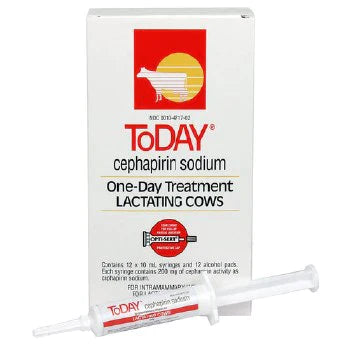 Boehringer Ingelheim, Boehringer Ingelheim Today Cephapirin Sodium For Lactating Cows - 10ml