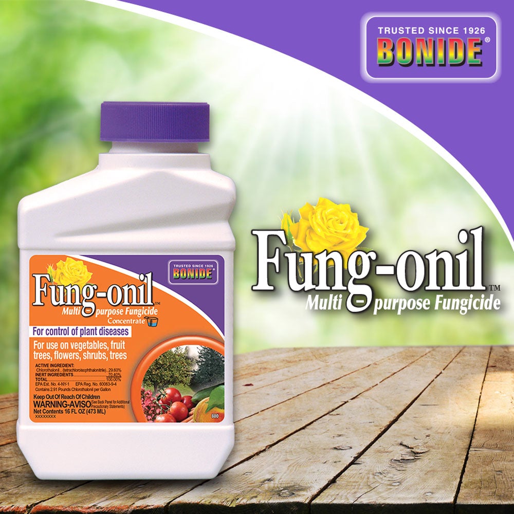 Bonide, Bonide Fung-onil® Fungicide Conc
