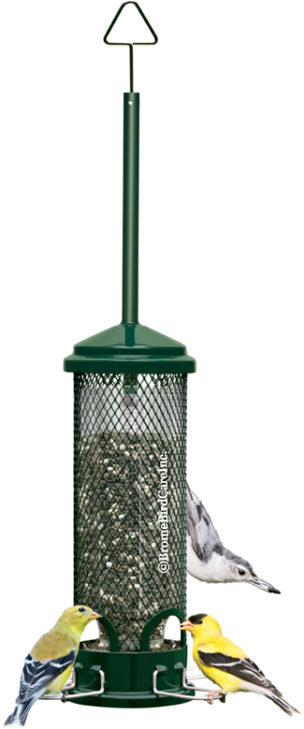 Brome Bird Care, Brome Bird Care Squirrel Buster Mini™