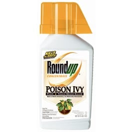 Roundup, Brush Killer, 1-Qt. Concentrate