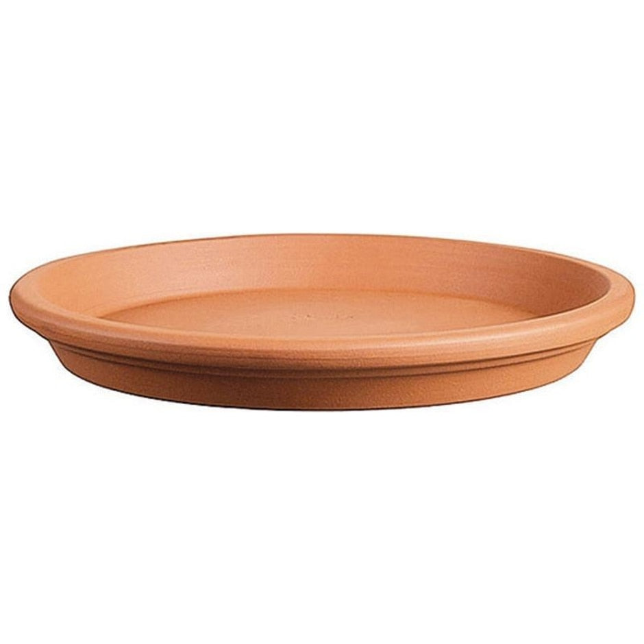 SOUTHERN PATIO, CLAY SAUCER