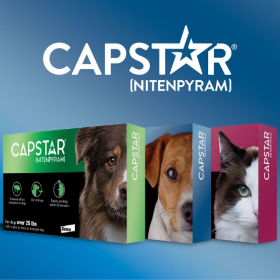 Capstar, Capstar for Dogs & Cats