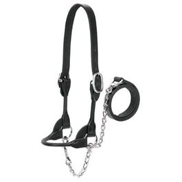 Weaver Leather, Cattle Show Halter, Black Bridle Leather, Medium, 20-In. Chain x 36-In. Lead