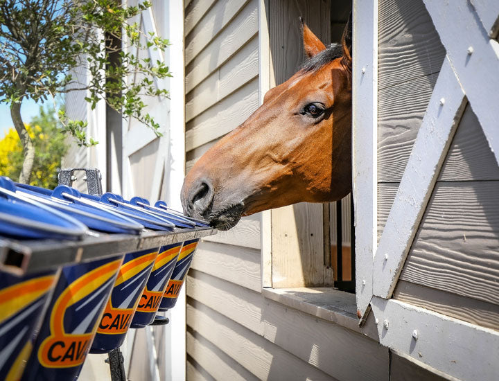 Cavalor, Cavalor Strucomix Senior Horse Feed