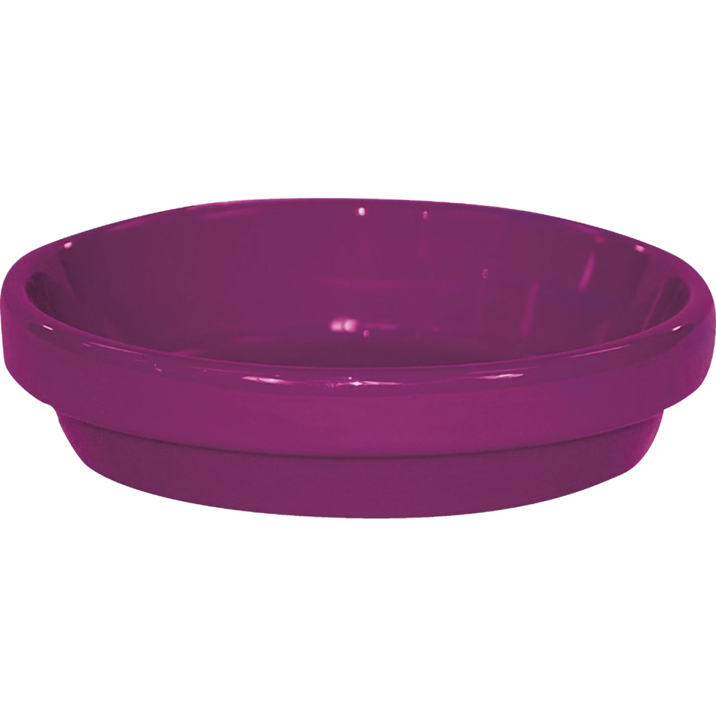 Ceramo, Ceramo Spring Fever 4 In. Violet Clay Flower Pot Saucer