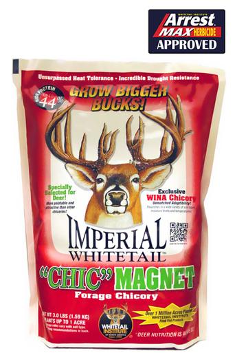 Imperial Whitetail, ChicMagnet