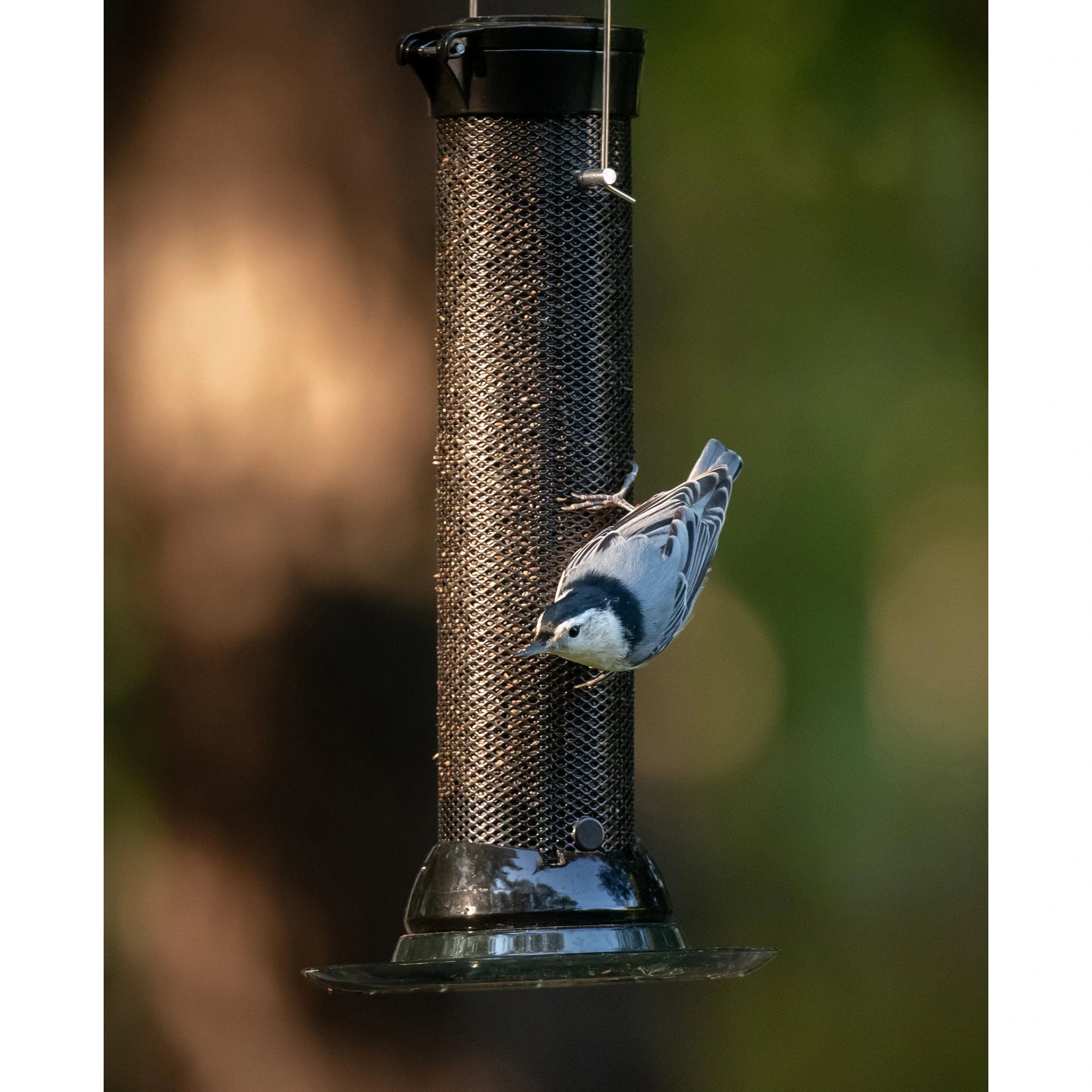 Classic Brands, Classic Brands Droll Yankees® Onyx Clever Clean® Finch Screen Feeder with Easy Opening