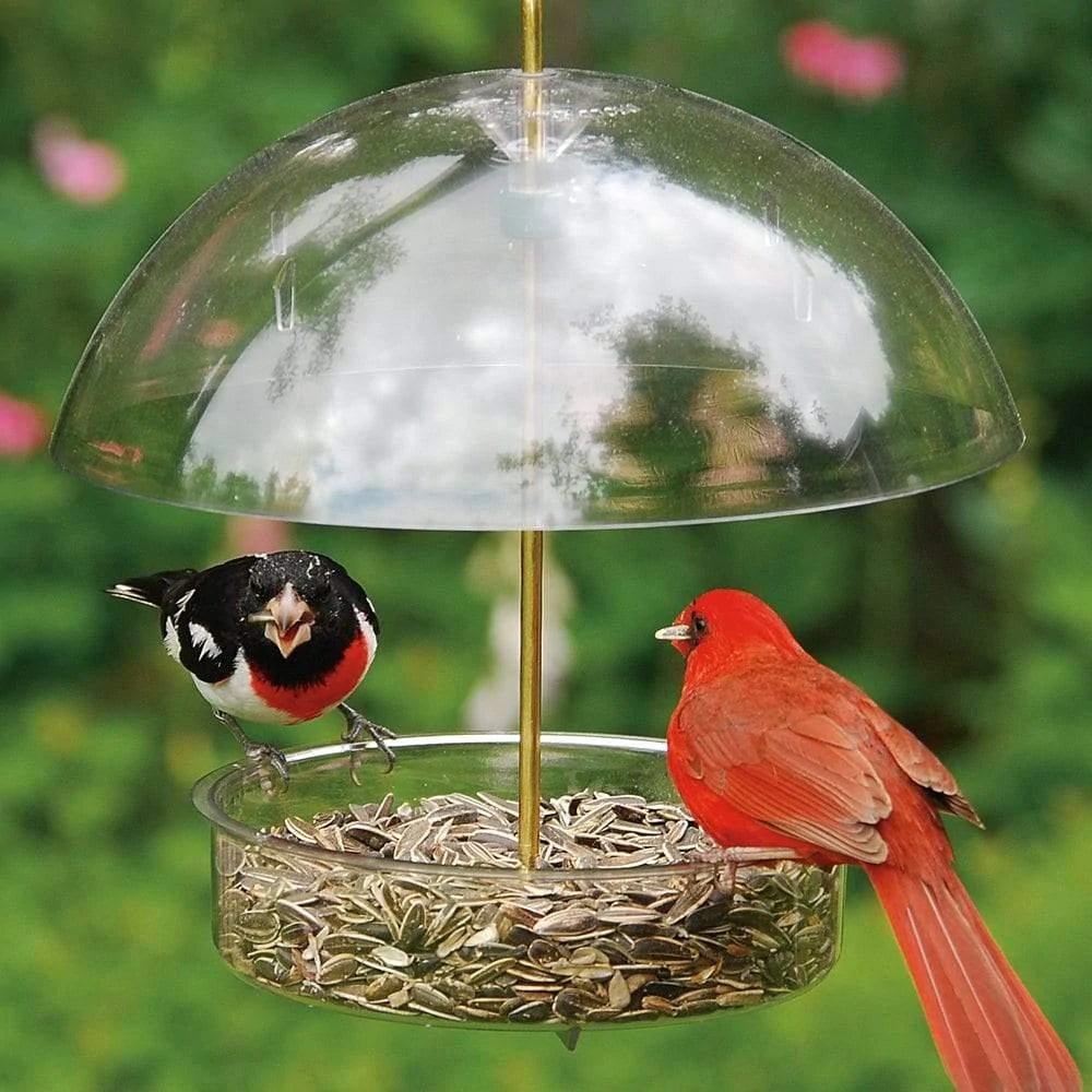 Classic Brands, Classic Brands Droll Yankees® Seed Saver® Bird Feeder with Adjustable Dome