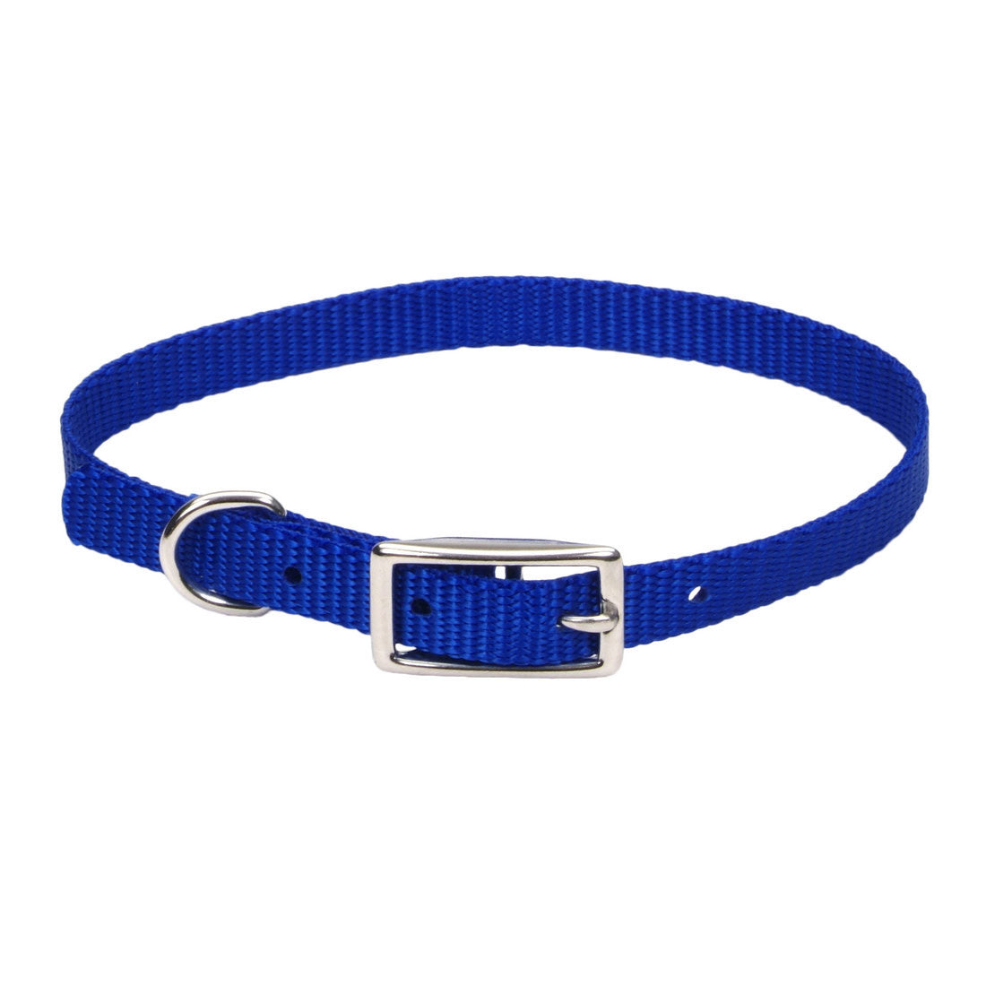 Coastal Pet Products, Coastal Pet Products Coastal Single-Ply Dog Collar