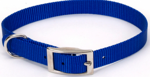 Coastal Pet Products, Coastal Pet Products Standard Nylon Medium Dog Collar
