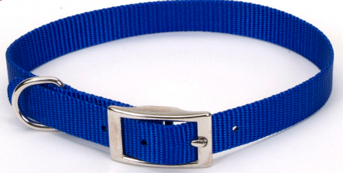 Coastal Pet Products, Coastal Pet Products Standard Nylon Small and Medium Dog Collar