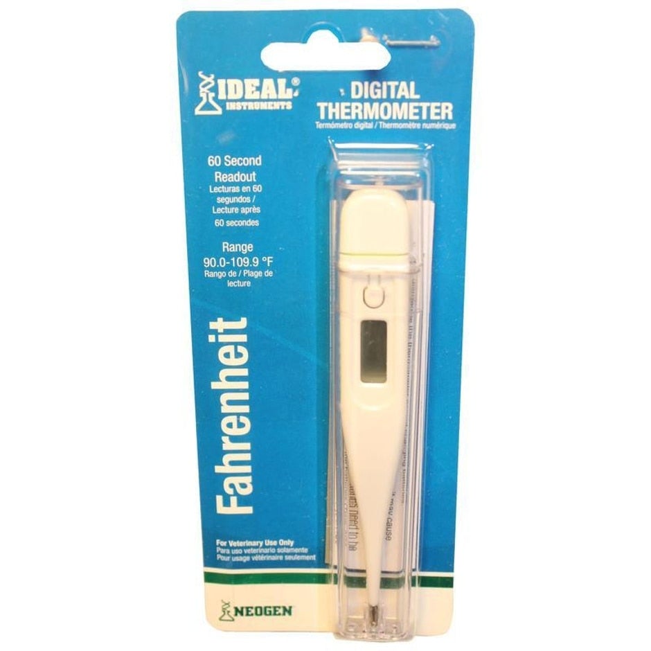 Ideal, DIGITAL THERMOMETER WITH HARD PLASTIC CASE
