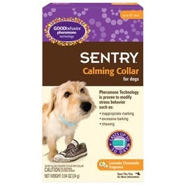 Sentry, Dog Collar, Calming Lavender Chamomile, 28-In.