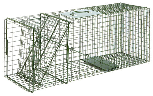 Duke Traps, Duke Pecan # 3-1 Cage Trap