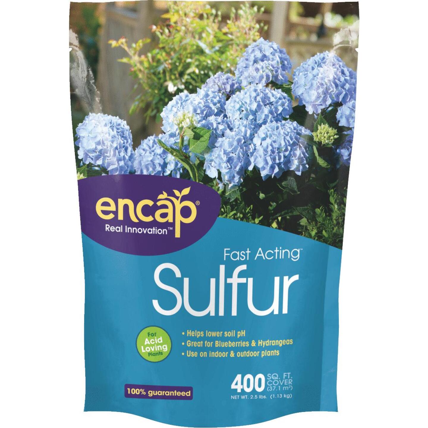Encap, Encap 2.5 Lb. 1250 Sq. Ft. Coverage Fast Acting Sulfur