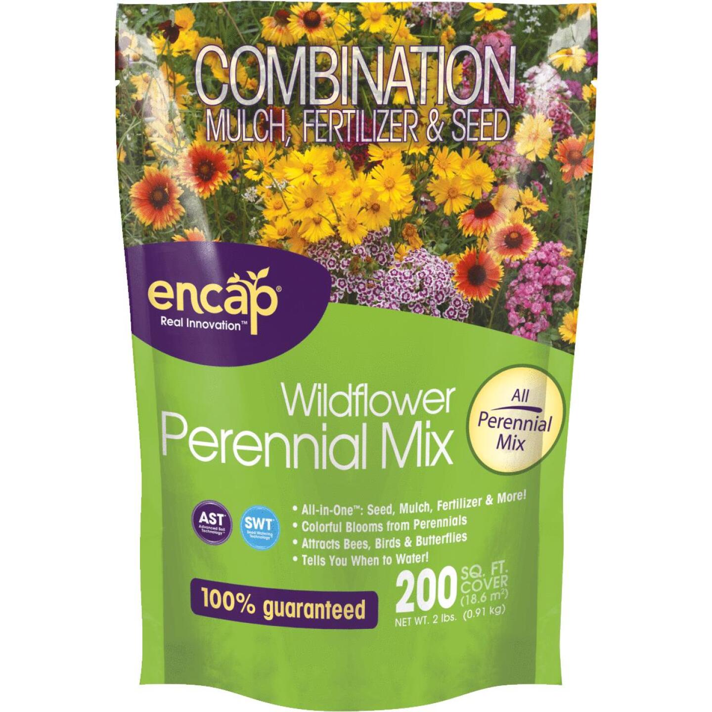Encap, Encap All-In-One 2 Lb. 200 Sq. Ft. Coverage Perennial Wildflower Seed Mix