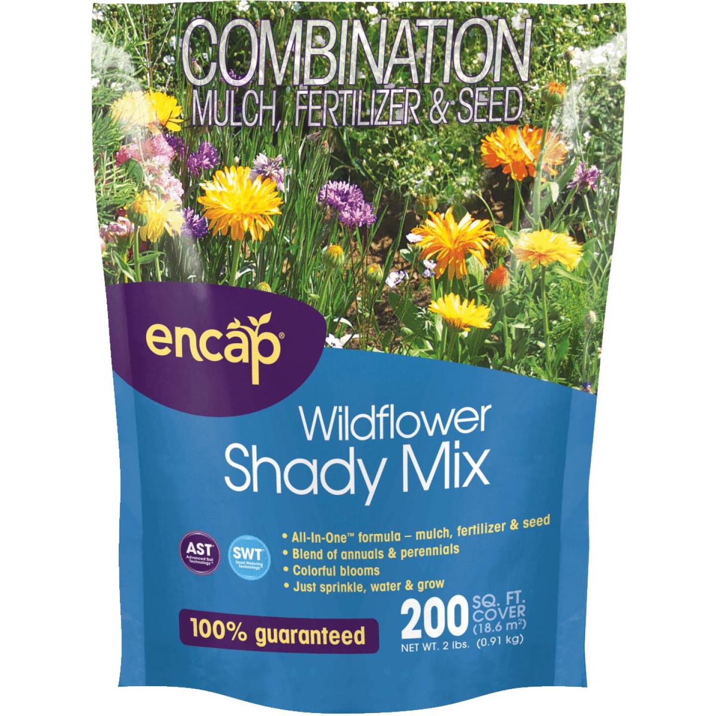 Encap, Encap All-In-One 2 Lb. 200 Sq. Ft. Coverage Shady Wildflower Seed Mix