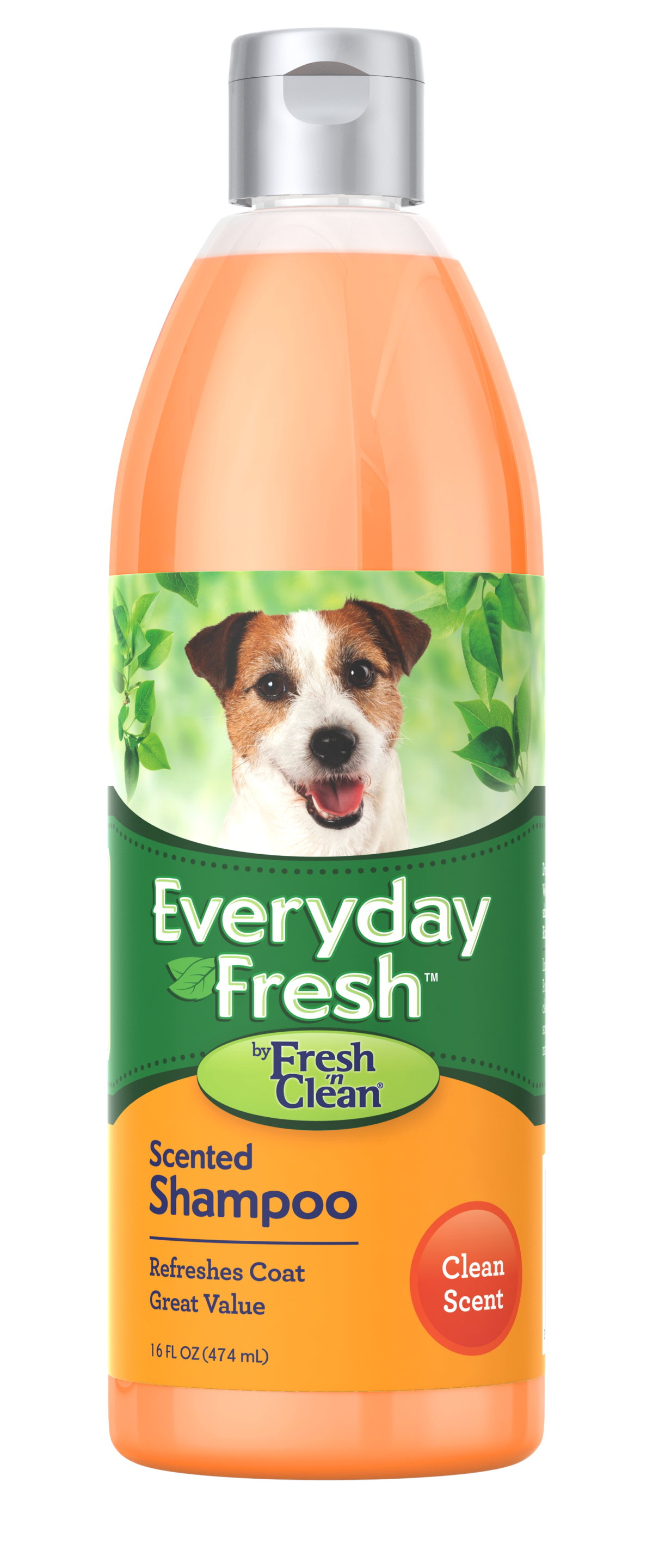 FRESH 'N CLEAN, Everyday Fresh™ by Fresh ’n Clean® - Scented Shampoo - Clean Scent