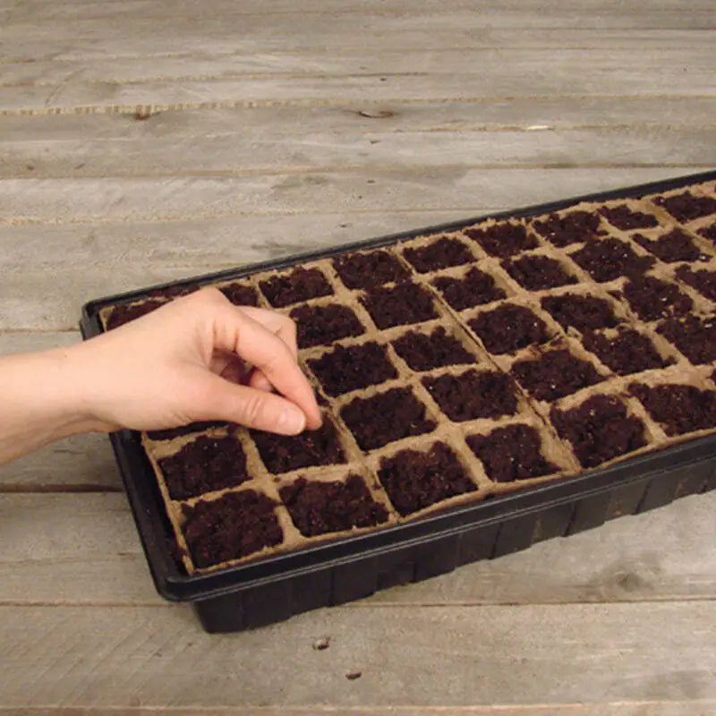 Ferry-Morse, Ferry-Morse Jiffy Seed Starting Greenhouse Kit with 50 Biodegradable Peat Strip Cells