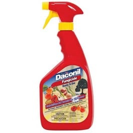 Daconil, Fungicide, 32-oz. Ready-To-Use