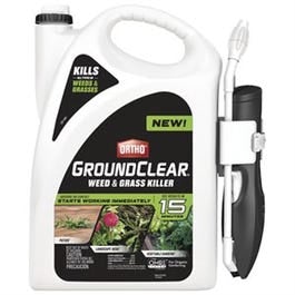 Ortho, GroundClear Weed & Grass Killer, Ready-to-Use Wand, 1-Gallon