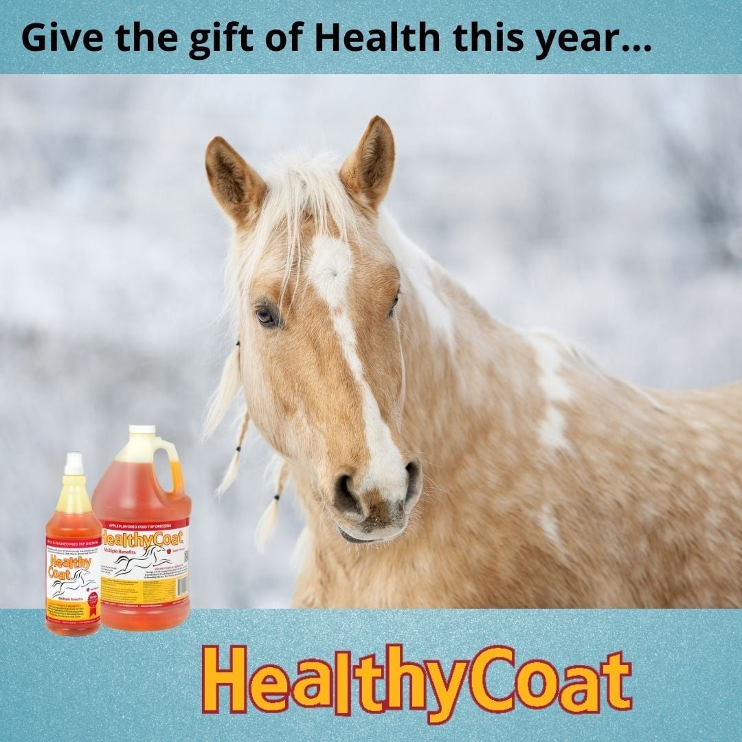 HealthyCoat, HealthyCoat Liquid Feed Supplement for Your Horses