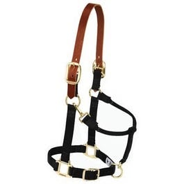 Weaver Leather, Horse Halter, Breakaway, Black Nylon/Leather, 1-In., Average/Weanling Draft