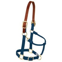 Weaver Leather, Horse Halter, Breakaway, Navy Nylon/Leather, 1-In., Average/Yearling Draft