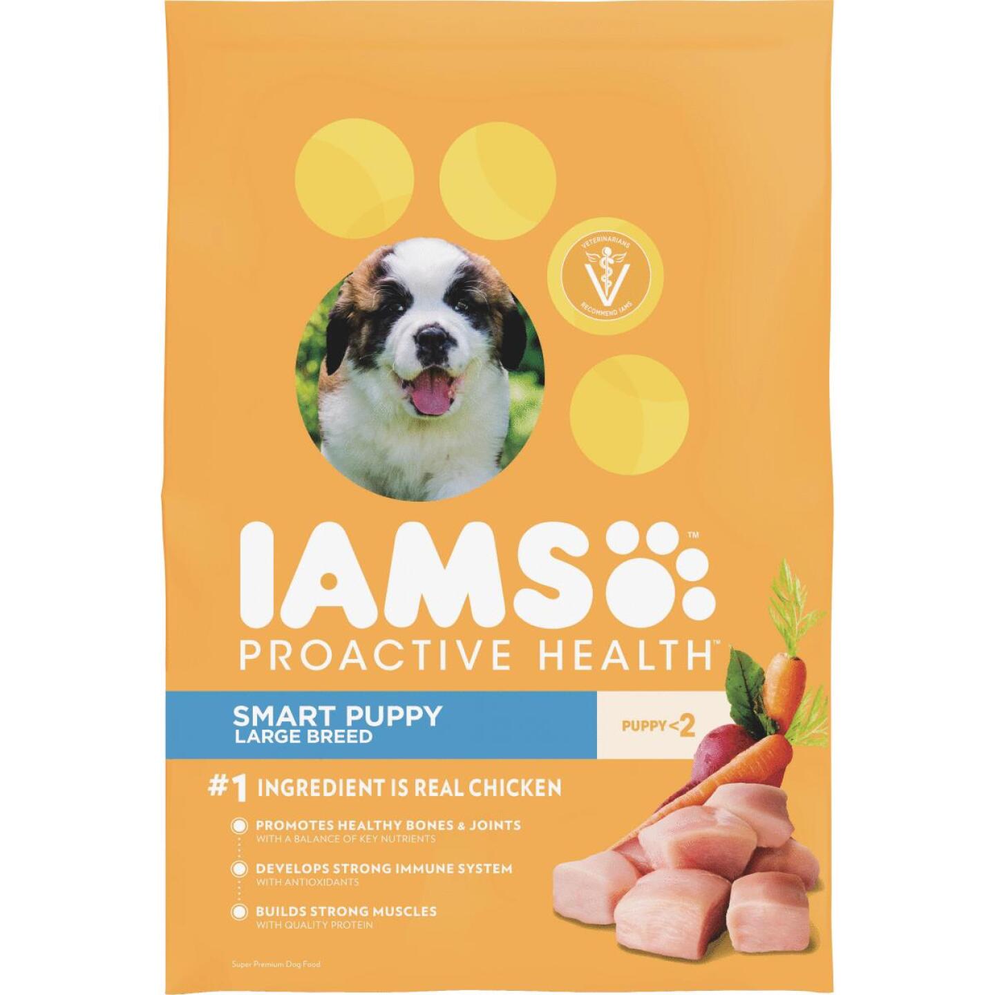 IAMS, IAMS Proactive Health Smart Puppy Large Breed 15 Lb. Dry Dog Food