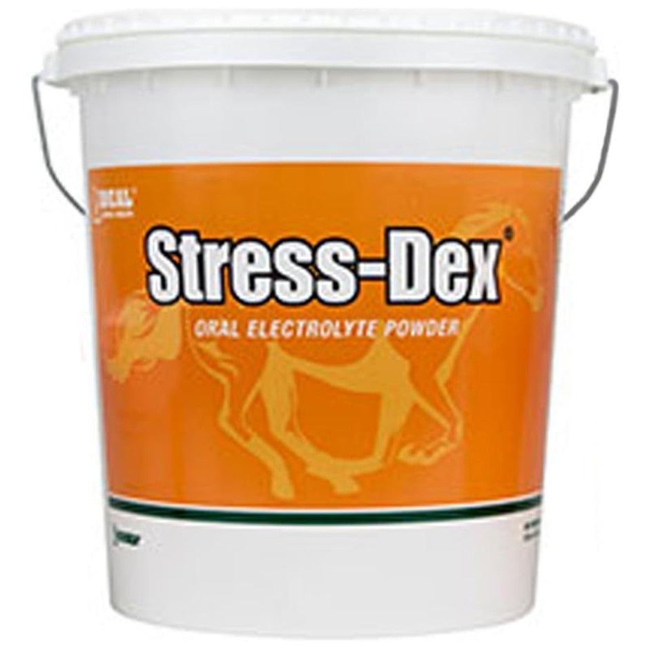 Ideal, IDEAL SQUIRE STRESS-DEX ORAL ELECTROLYTE FOR HORSES