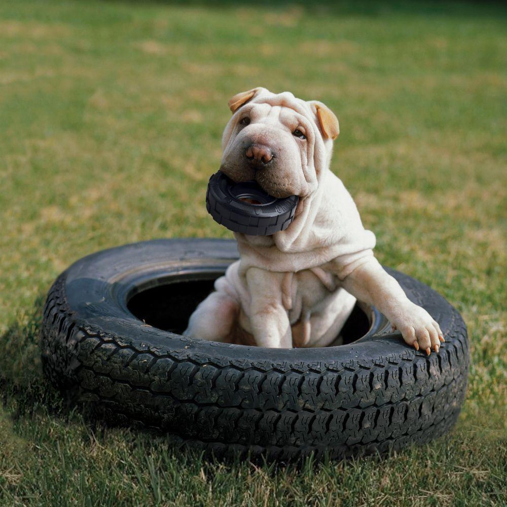 KONG, KONG Extreme Tires Dog Toy