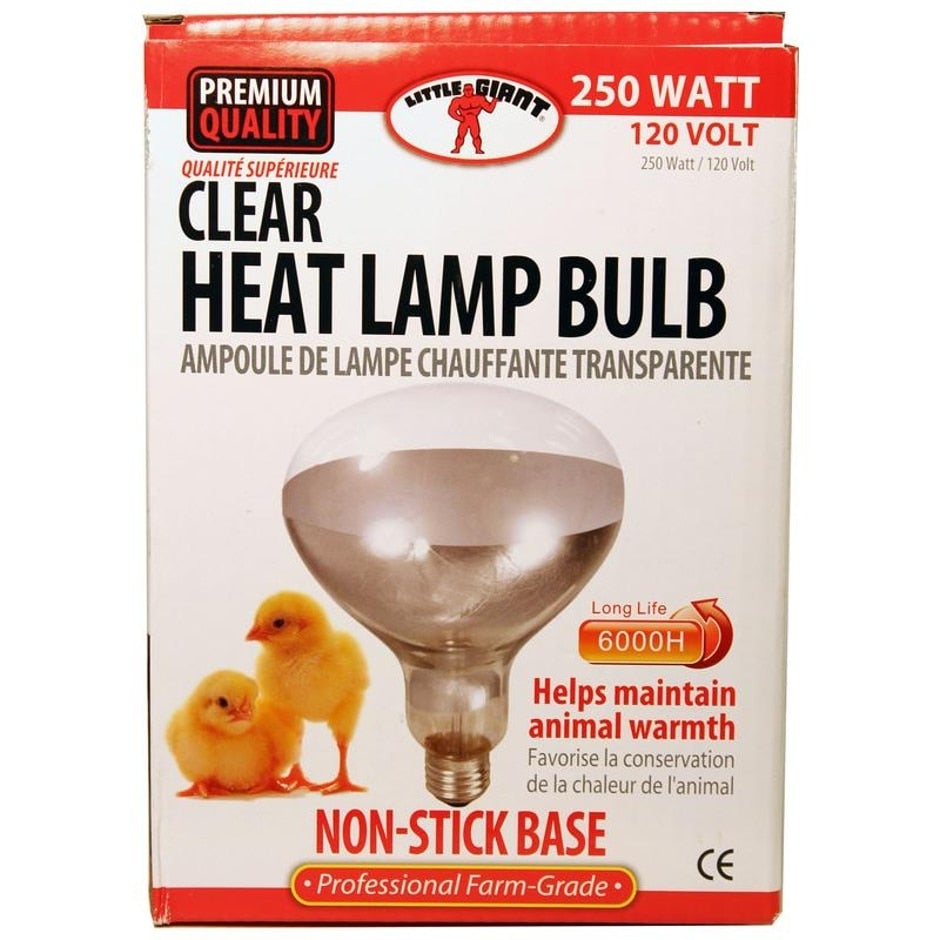 Little Giant, LITTLE GIANT CLEAR HEAT LAMP BULB