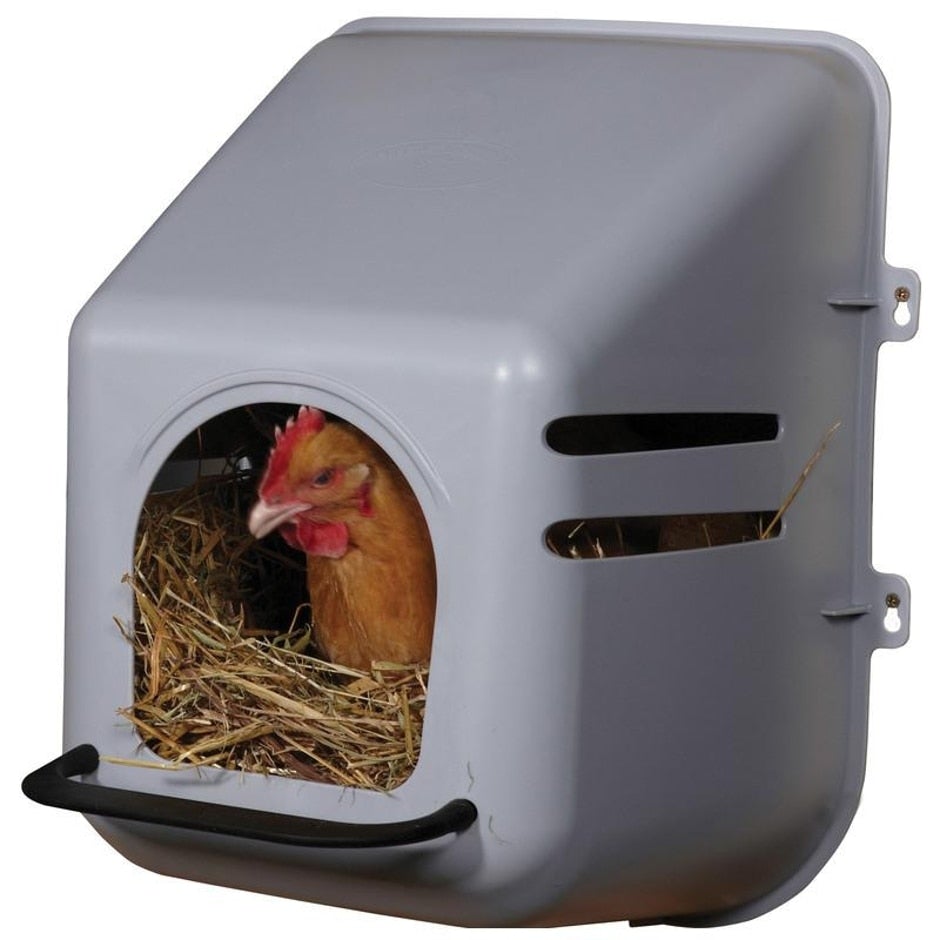 Little Giant, LITTLE GIANT PLASTIC WALL MOUNT NESTING BOX