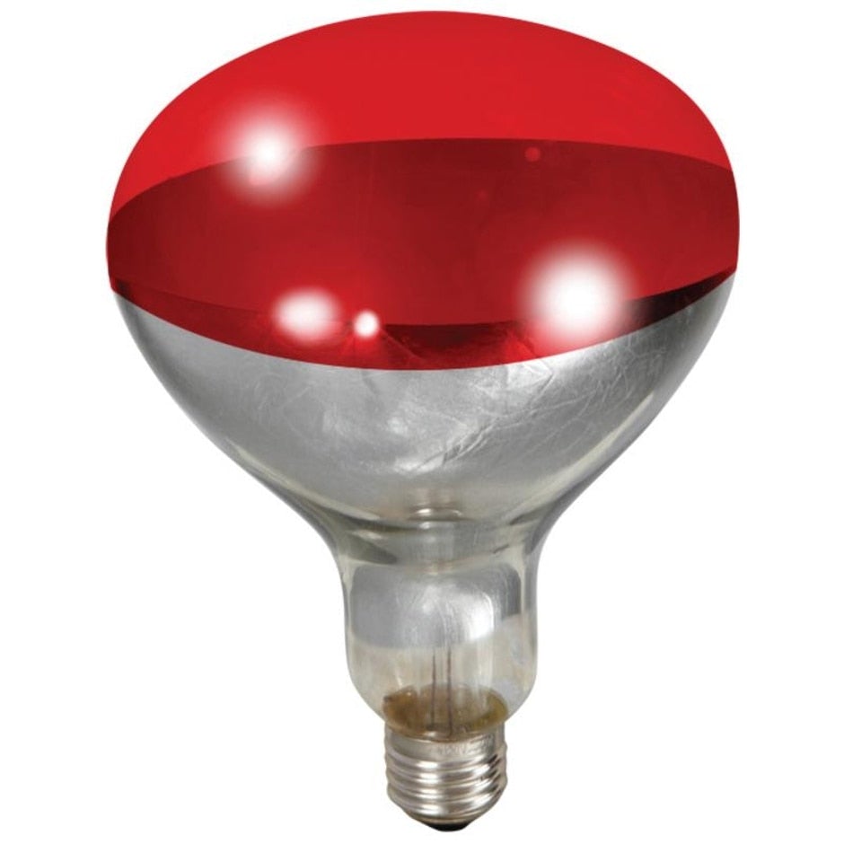 Little Giant, LITTLE GIANT RED HEAT LAMP BULB