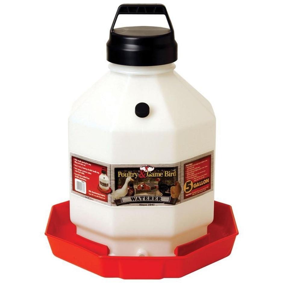 Little Giant, Little Giant Plastic Poultry Waterer