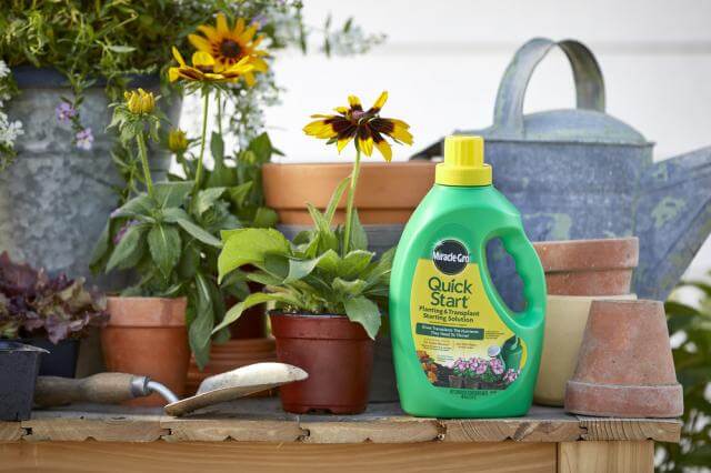 Miracle Gro, Miracle-Gro® Quick Start® Planting & Transplant Starting Solution