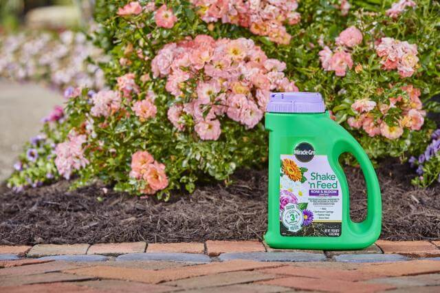 Miracle Gro, Miracle-Gro® Shake 'n Feed® Rose & Bloom Plant Food