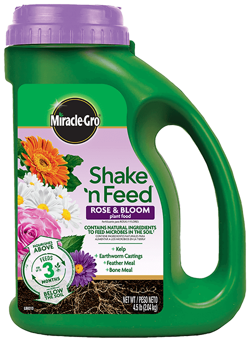 Miracle Gro, Miracle-Gro® Shake 'n Feed® Rose & Bloom Plant Food