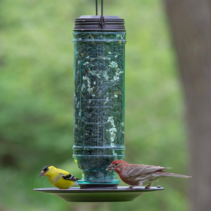 More Birds, More Birds® Songbird Vintage Glass Combination Sunflower/Thistle Bird Feeder, 1.5 lb. capacity