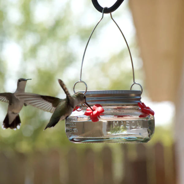 Nature's Way, Nature's Way Mason Jar Hummingbird Feeder